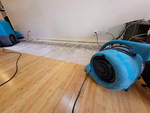 Professional Burst Pipe Water Damage technician working in Hampshire, IL